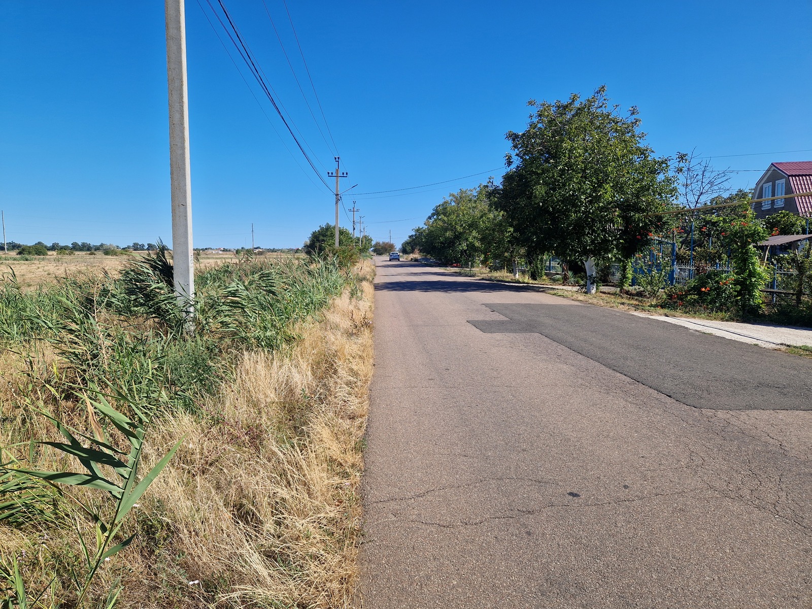 Участки в Дальнике фото 1 Участки в Дальнике фото 1