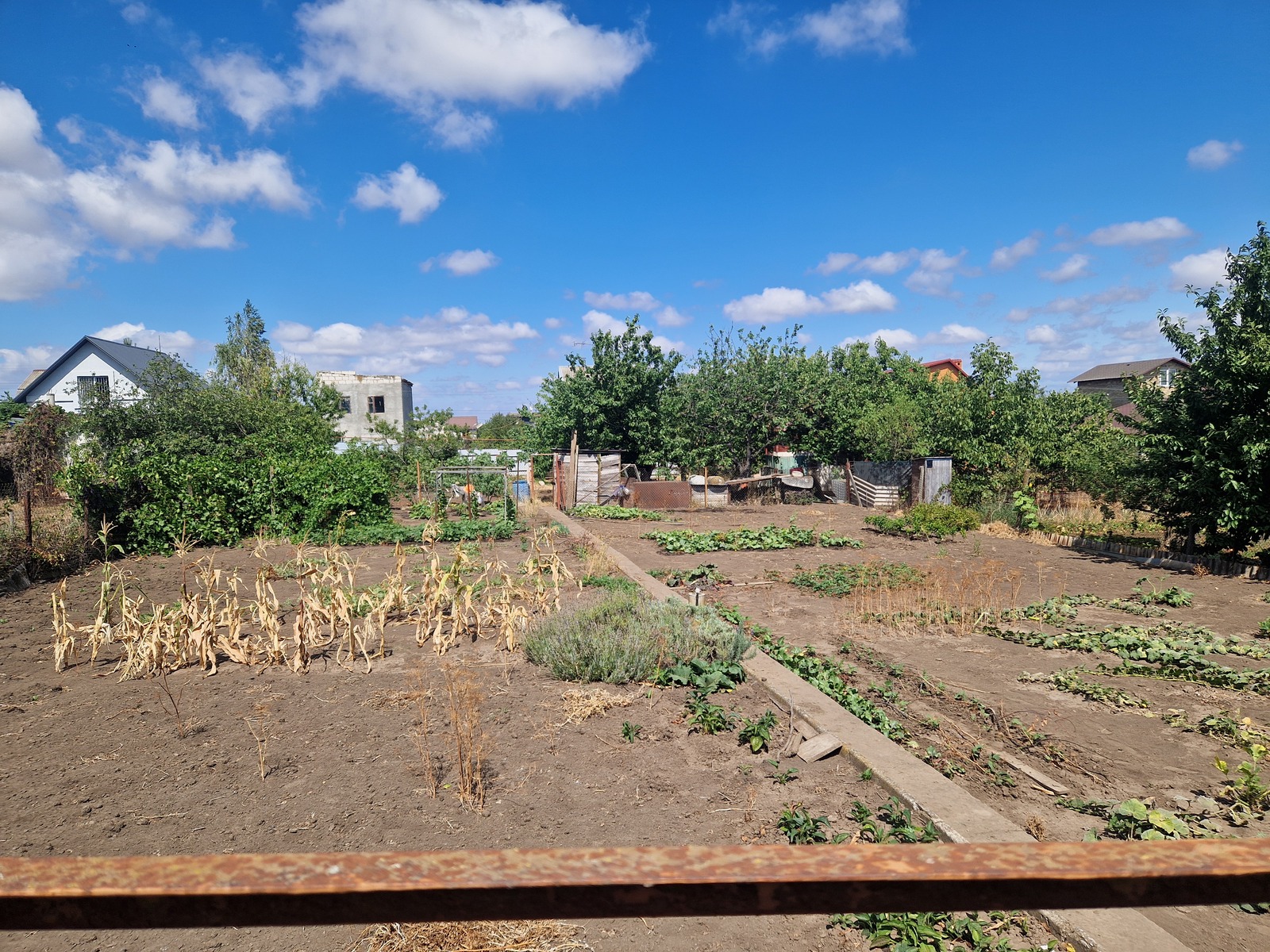 Продам ухоженный участок в СОГ Юбилейное фото 1 Продам ухоженный участок в СОГ Юбилейное фото 1