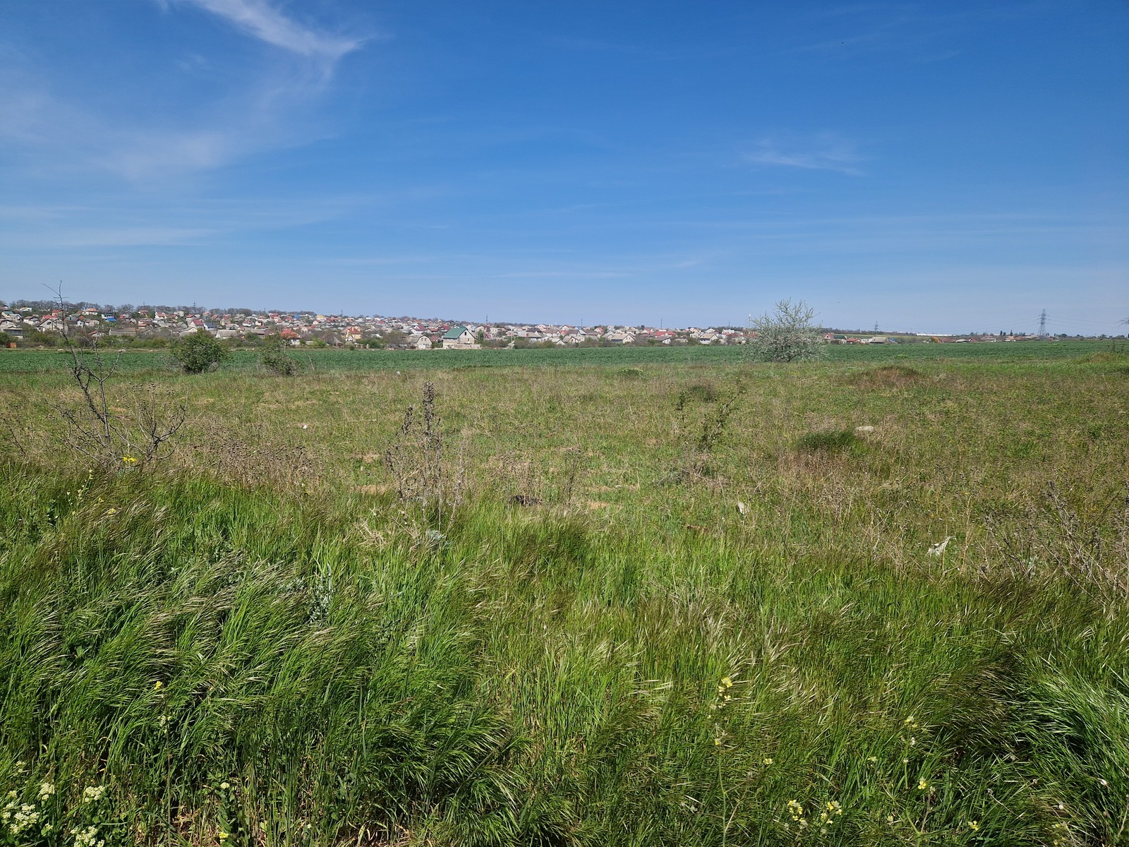 Продам участок возле Одессы фото 1 Продам участок возле Одессы фото 1