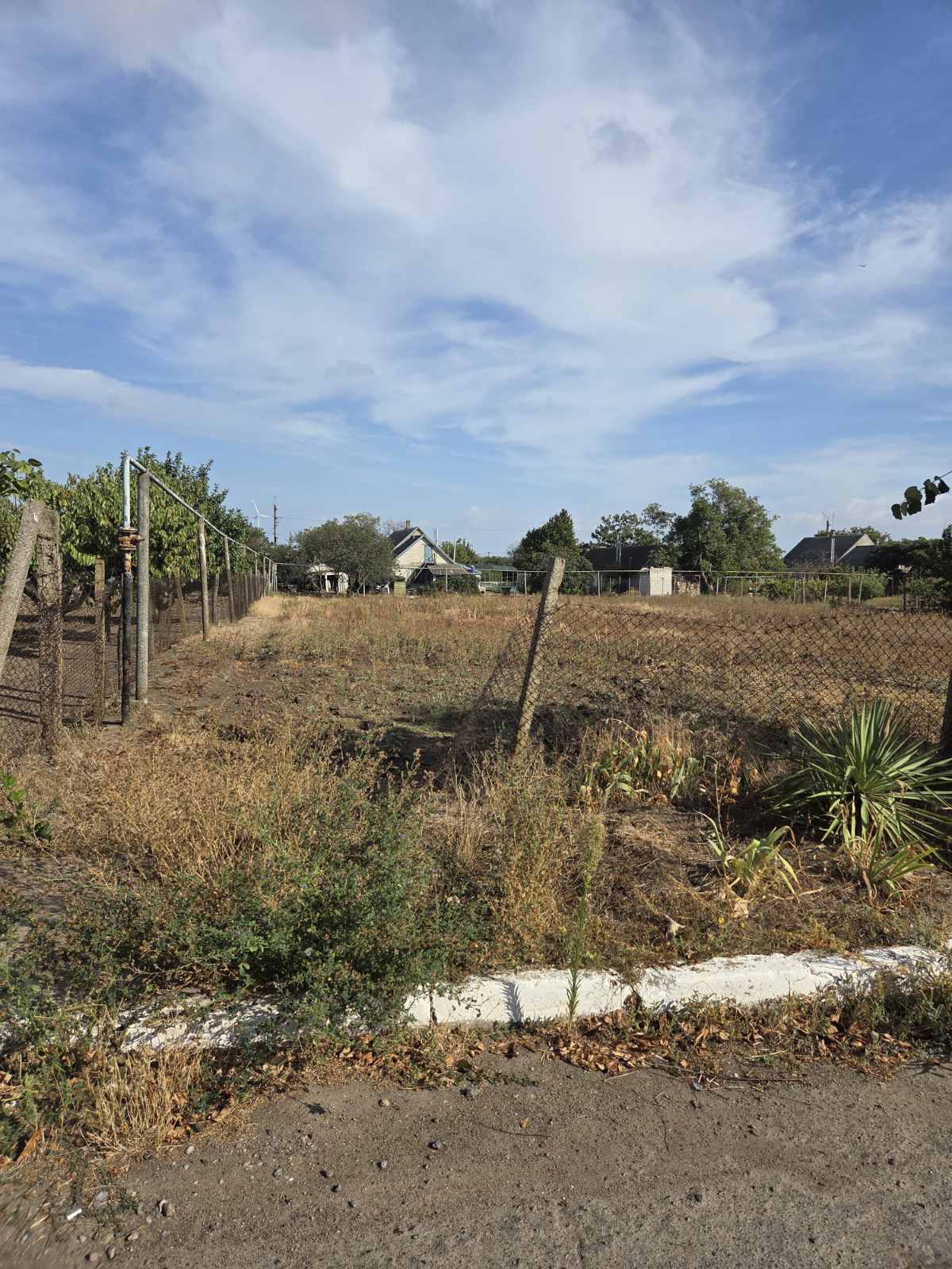 Продам участок в Овидиополе фото 1 Продам участок в Овидиополе фото 1