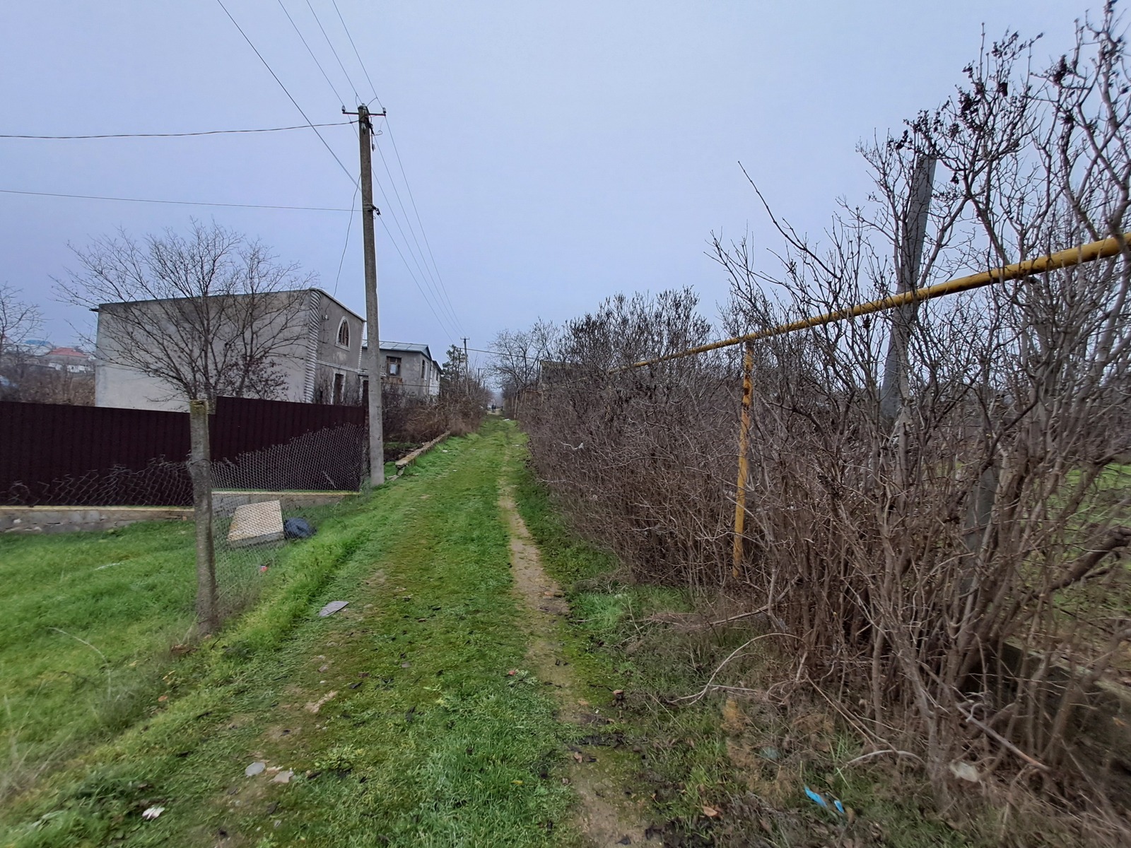 ������� � ��� ��� ������ ����� �� ����� ���� 1