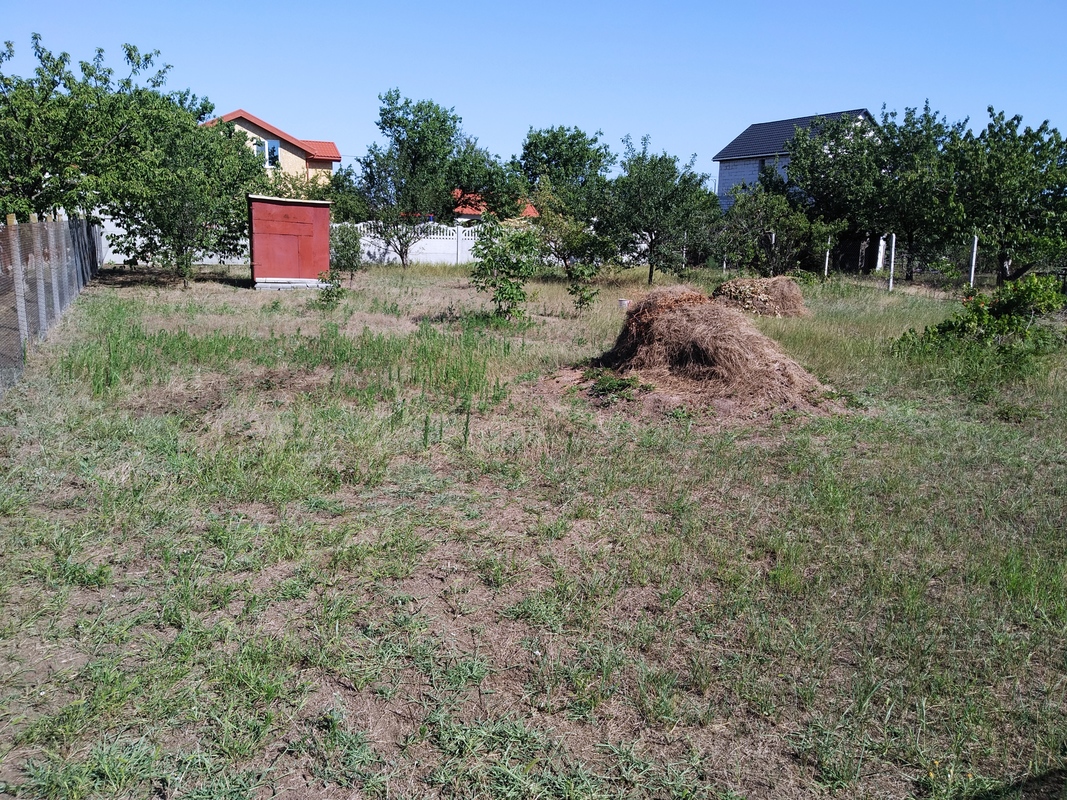 ������� ����� � ���� ���� 1