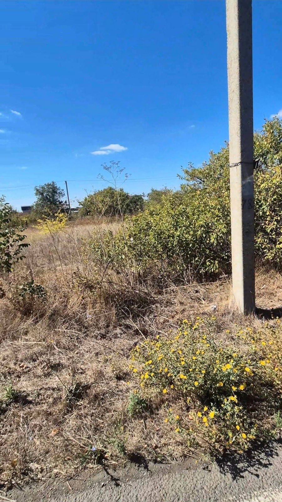 �������� ������� ����� ���� � ����������� ���� 1