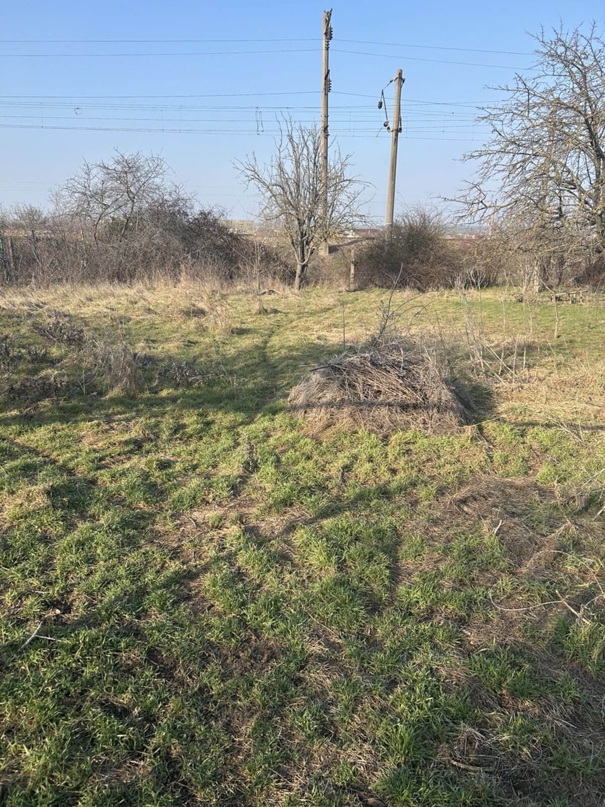 Земельный участок в пригороде Черноморска фото 1 Земельный участок в пригороде Черноморска фото 1