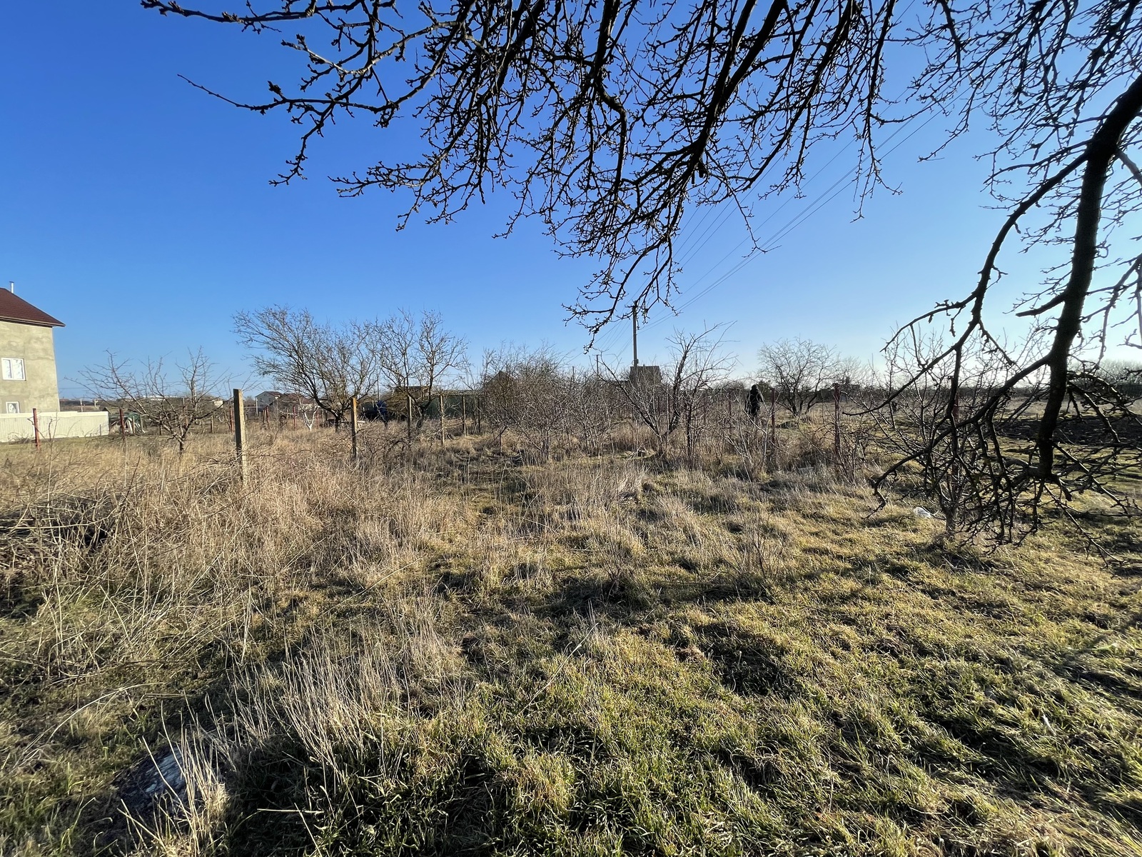 ������ ������ ��� ����������� ���� 1