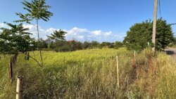 ������� � ���� ��� ���������� ���������� �������� ������� ������ ���� 3