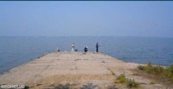 ������� � ����� �� ����� �-������������ ���� 7