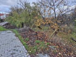 ������� � ������ ����������, ����� ������ ���� 11