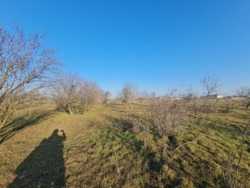 Ділянка с.Молодіжне передмістя Чорноморська фото 5 Ділянка с.Молодіжне передмістя Чорноморська фото 5