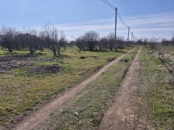 ������� ���������� 10 ����� ���� 3