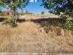 Участок под строительство дома в Дальнике фото 8 Участок под строительство дома в Дальнике фото 8