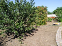 ������� ����� � ���� ���� 4