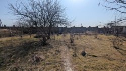 ������� � ����, ������� �������� ������� ���� 3