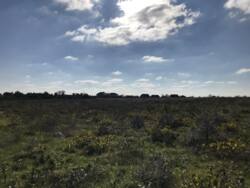 ������ ��������� ������� ��������������� ���� 3