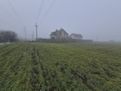 ������ ��������� ������� ��������� ���� 8