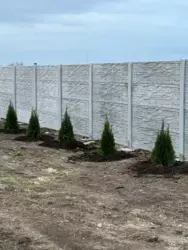 �������� ������ � ����� ���������� ���� 1