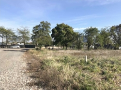 Участок в Великодолинском фото 3 Участок в Великодолинском фото 3