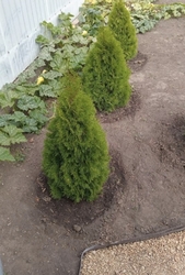   , , ,   8