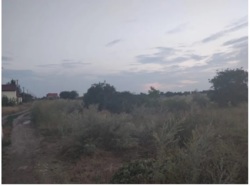 - 14,5   3