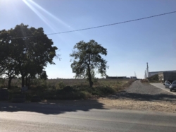 Участок в Великодолинском фото 4 Участок в Великодолинском фото 4