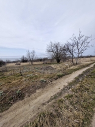 ������� � ����� �� ����� �-������������ ���� 4