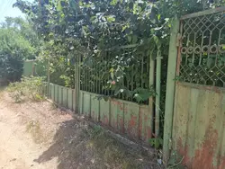 ������� �/� �������� ����� �������� ������ ���� 1