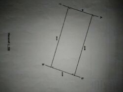     .  3
