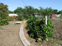 ������� ����� � ���� ���� 5