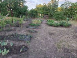 ������ ��������� ������� ������� ����������. ���� 2