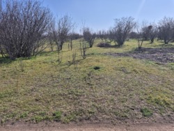 ������� ���������� 10 ����� ���� 2