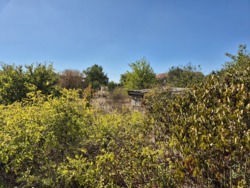 ������ ������� � ������� ������ ���� 1