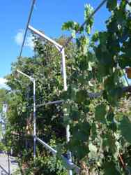 ������� � ������� � ����� ���.��������������� ���� 4