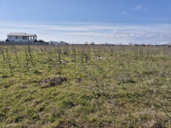 ������� � ���������� ���� 9