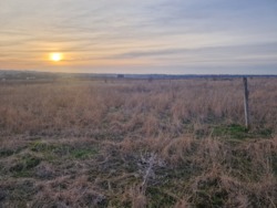 В продаже участок между Малой и Большой Долинами (напротив СК 'ЗАРЯ') фото 2 В продаже участок между Малой и Большой Долинами (напротив СК 'ЗАРЯ') фото 2
