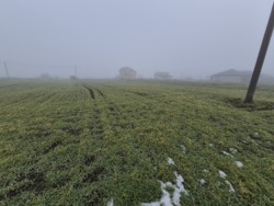 ������ ��������� ������� ��������� ���� 11