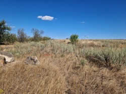 Участок под строительство дома в Дальнике фото 4 Участок под строительство дома в Дальнике фото 4