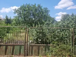 ������� �/� �������� ����� �������� ������ ���� 3