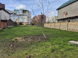 ������� � ������ ���������� ���� 11