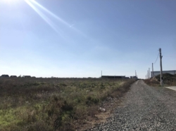 Участок в Великодолинском фото 2 Участок в Великодолинском фото 2