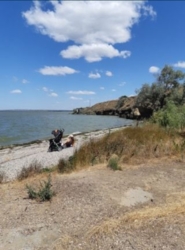 ������� � ����� �� ����� �-������������ ���� 5