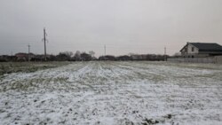 Продам земельный участок Молодёжное фото 6 Продам земельный участок Молодёжное фото 6