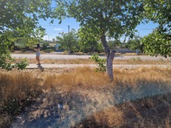 Участок под строительство дома в Дальнике фото 5 Участок под строительство дома в Дальнике фото 5