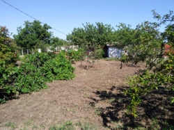 ������� ����� � ���� ���� 6