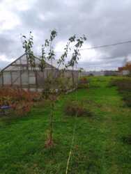 Участок в Молодежном с Забором фото 3 Участок в Молодежном с Забором фото 3