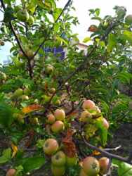 ������� � ������� � ����� ���.��������������� ���� 2