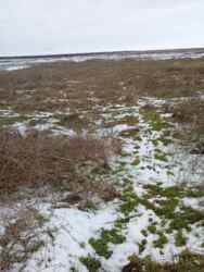 ������ ������� � � ���������� ���� 1