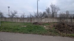 ������� 15 ����� �� ���� � ����� ������ ���� 5