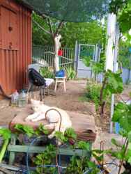 ������� � ������� � ����� ���.��������������� ���� 3