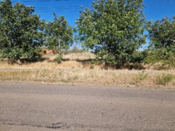 Участок под строительство дома в Дальнике фото 9 Участок под строительство дома в Дальнике фото 9