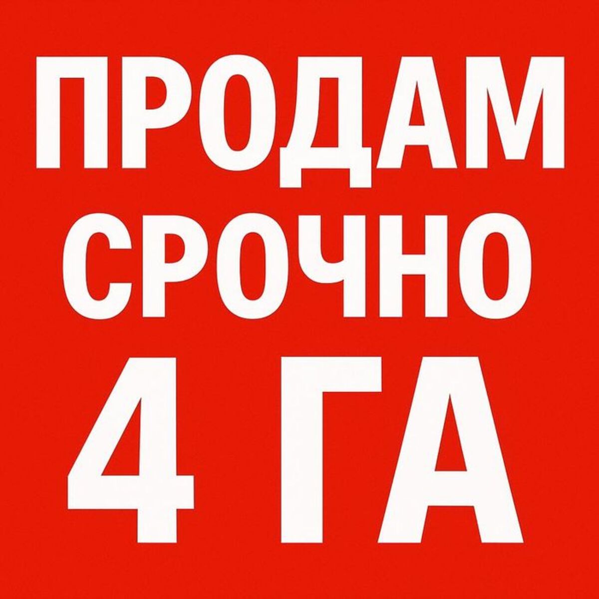 ��������� ������ �������� ����������� ������, �����, �������, ������������ ���� 1